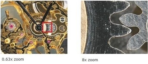 Nikon_SMZ1270_zoom
