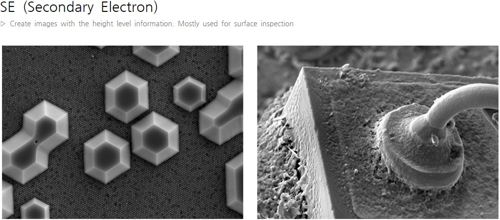SEC_SNE_3000MS_table_top_SEM_Scanning_Electron_Microscope_image
