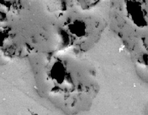 Backscattered_Electron_Image_of_Scanning_Electron_Microscope
