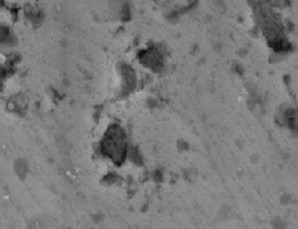 Secondray_Electron_Image_of_Scanning_Electron_Microscope