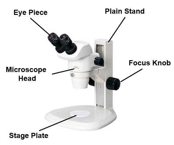 Schematic Diagram of Stereo Microscope